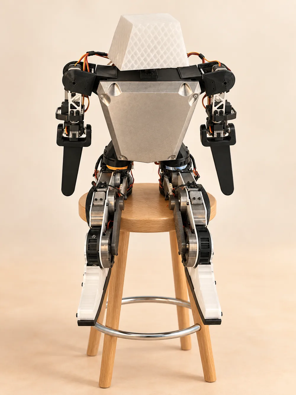 V1 sitting on a wooden stool, facing the camera, on a cream backdrop